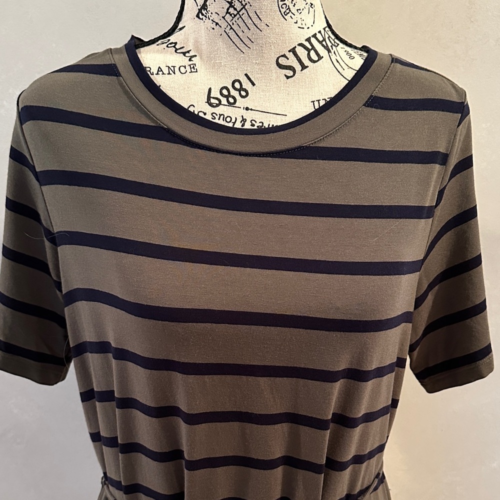 Banana Republic Black and Brown Striped Midi Dress